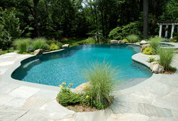 Eco Friendly Pool Design